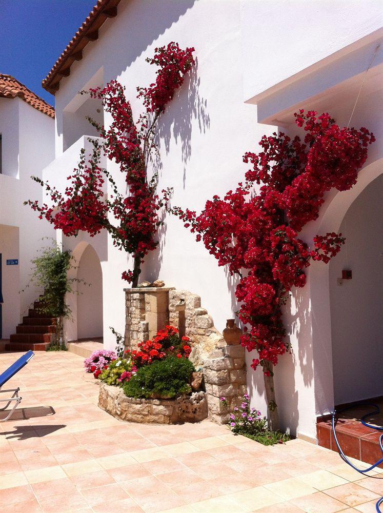 Iliana Apartments Georgioupoli Dış mekan fotoğraf